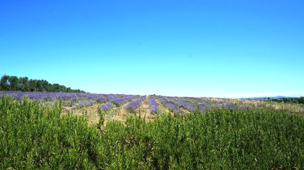 Agriturismo San Giusto Hotell Tuscania Eksteriør bilde